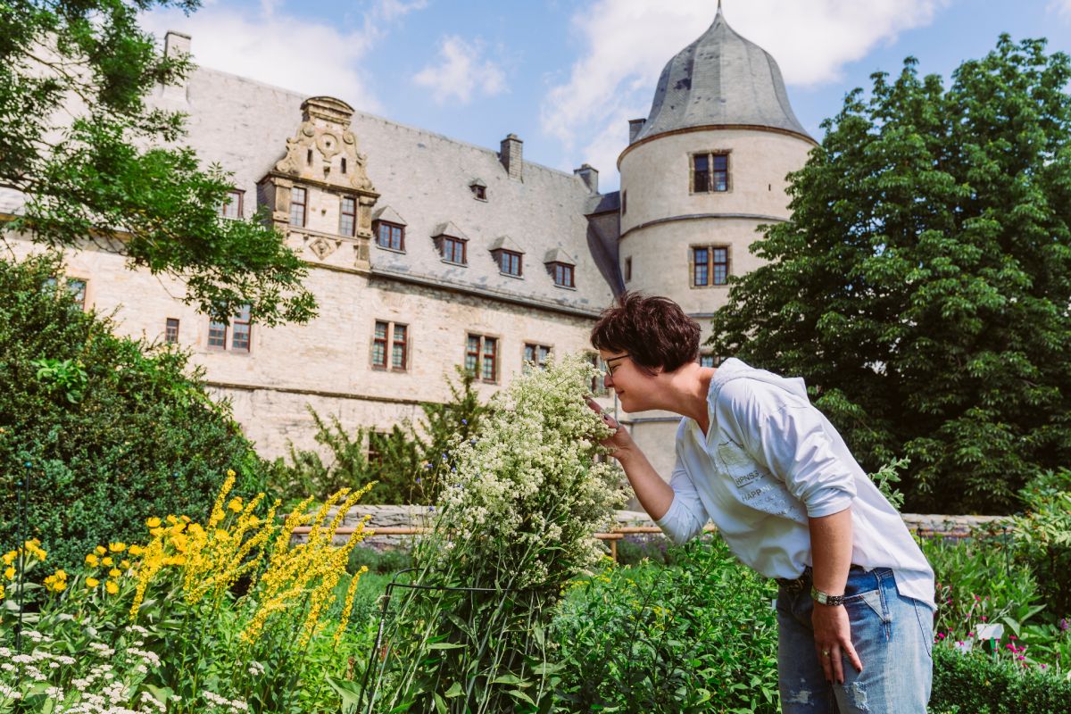 Tag der Gärten & Parks in Westfalen-Lippe: Die Heilkunst der Jesuiten